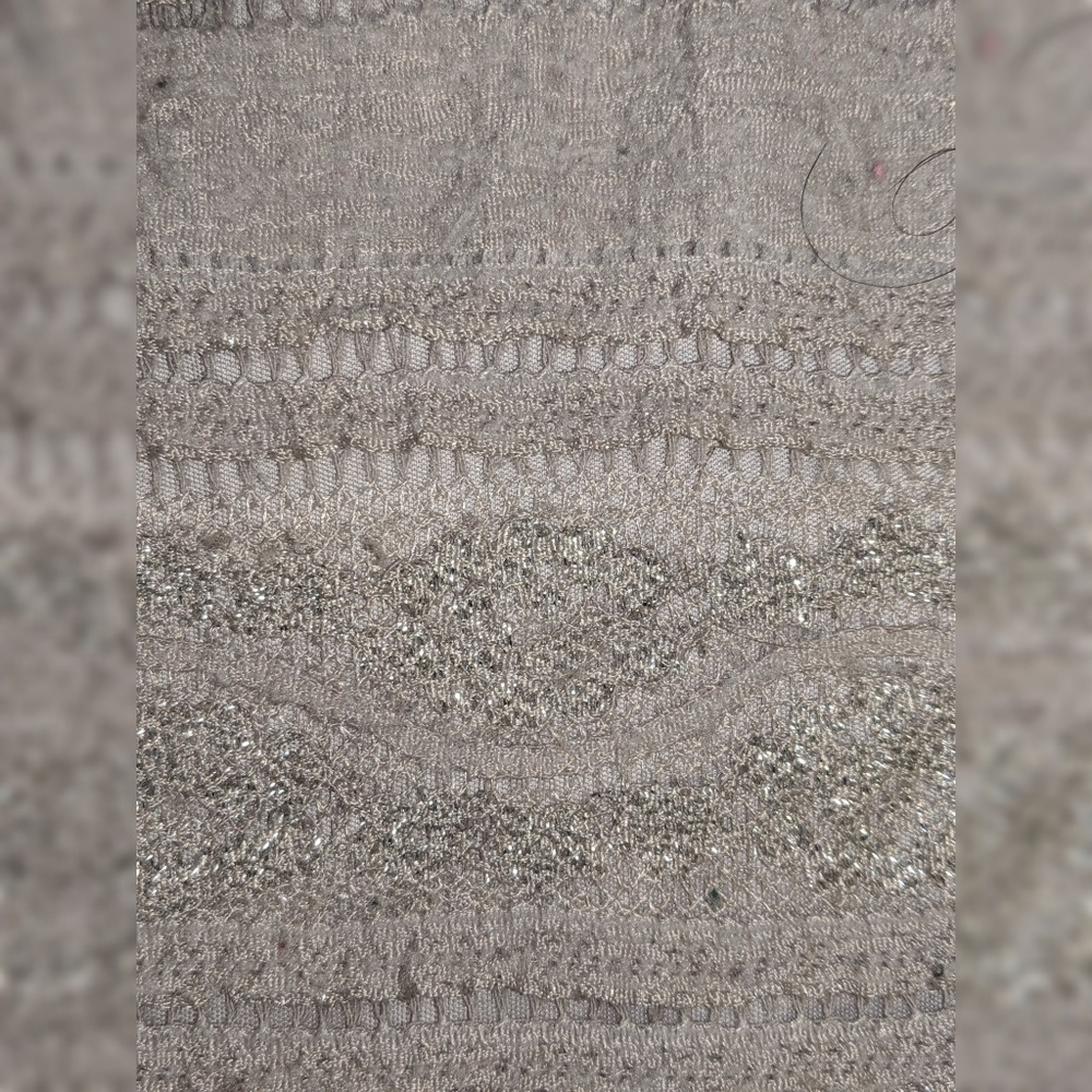 Express Taupe Shimmery Lace Women's Blouse - Picture 4 of 4